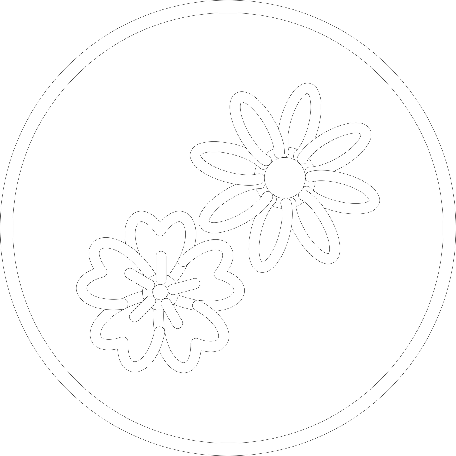 AsSVDVDVset 2
